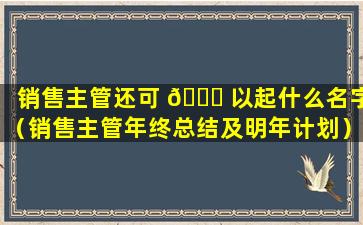 销售主管还可 🐝 以起什么名字（销售主管年终总结及明年计划）